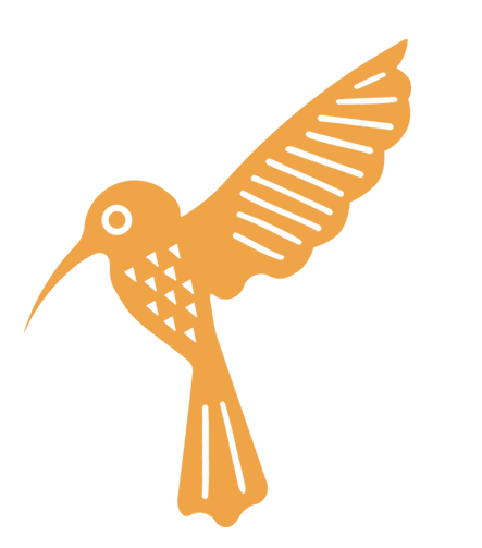 Hummingbird Illustration in orange